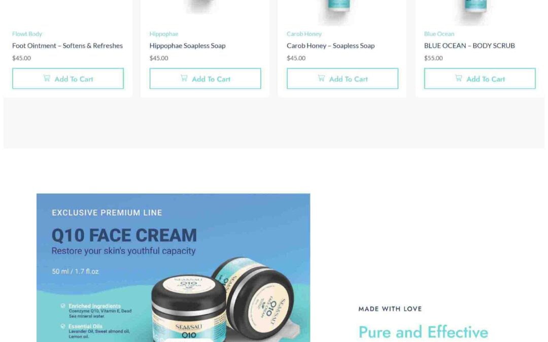 Ecommerce online store