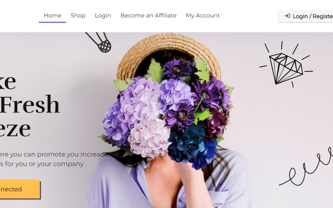 Dip Motion Fashion woocommerce website