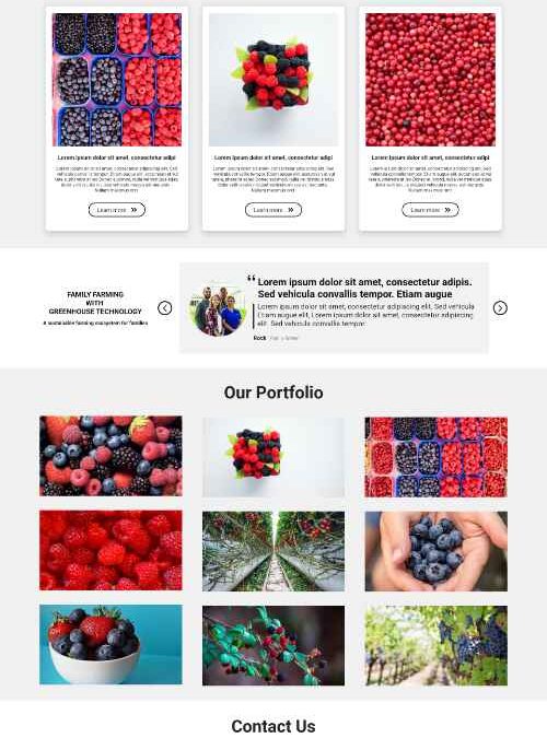 Best fruit landing page