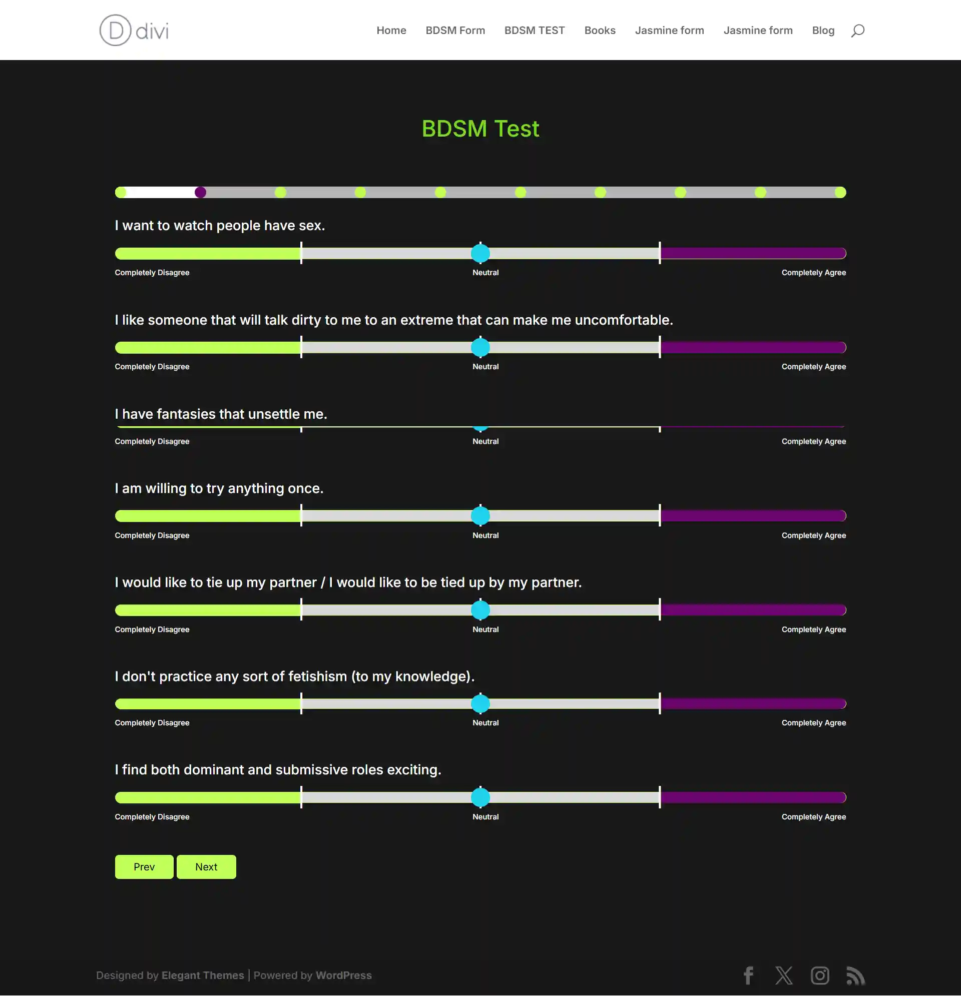 BDSM Custom WordPress Forms